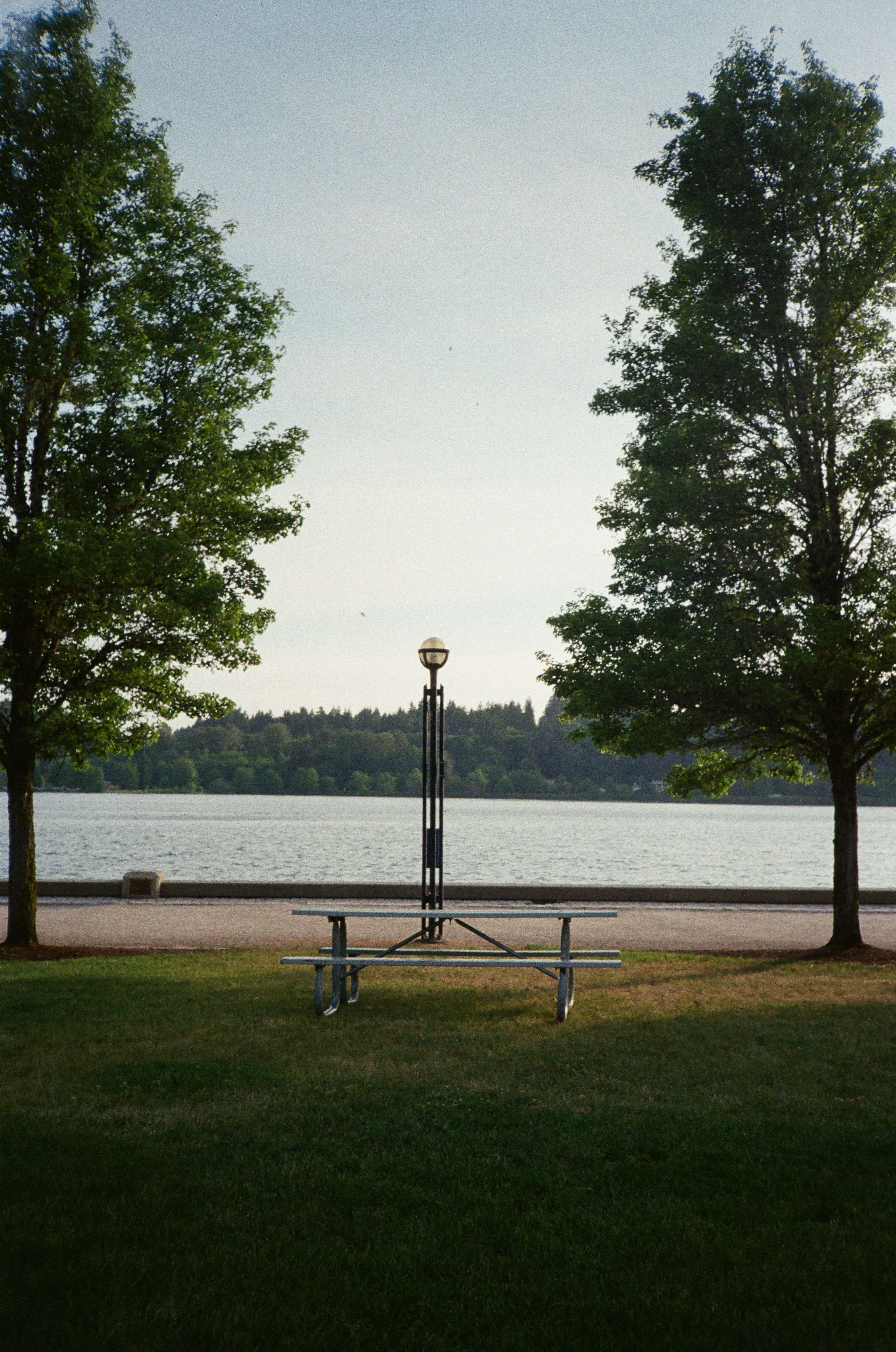 Lamp in park